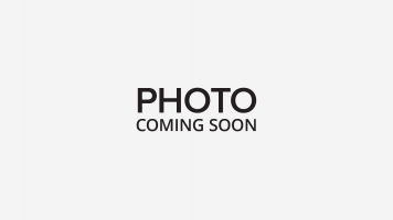HC 247 P