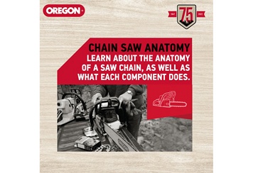 Chainsaw Chain Terminology 